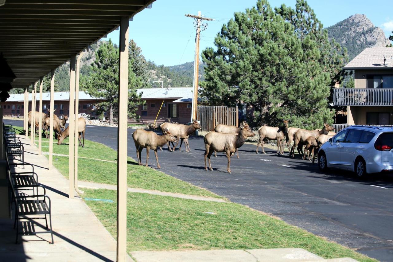 Quality Inn Near Rocky Mountain National Park Estes Park Buitenkant foto