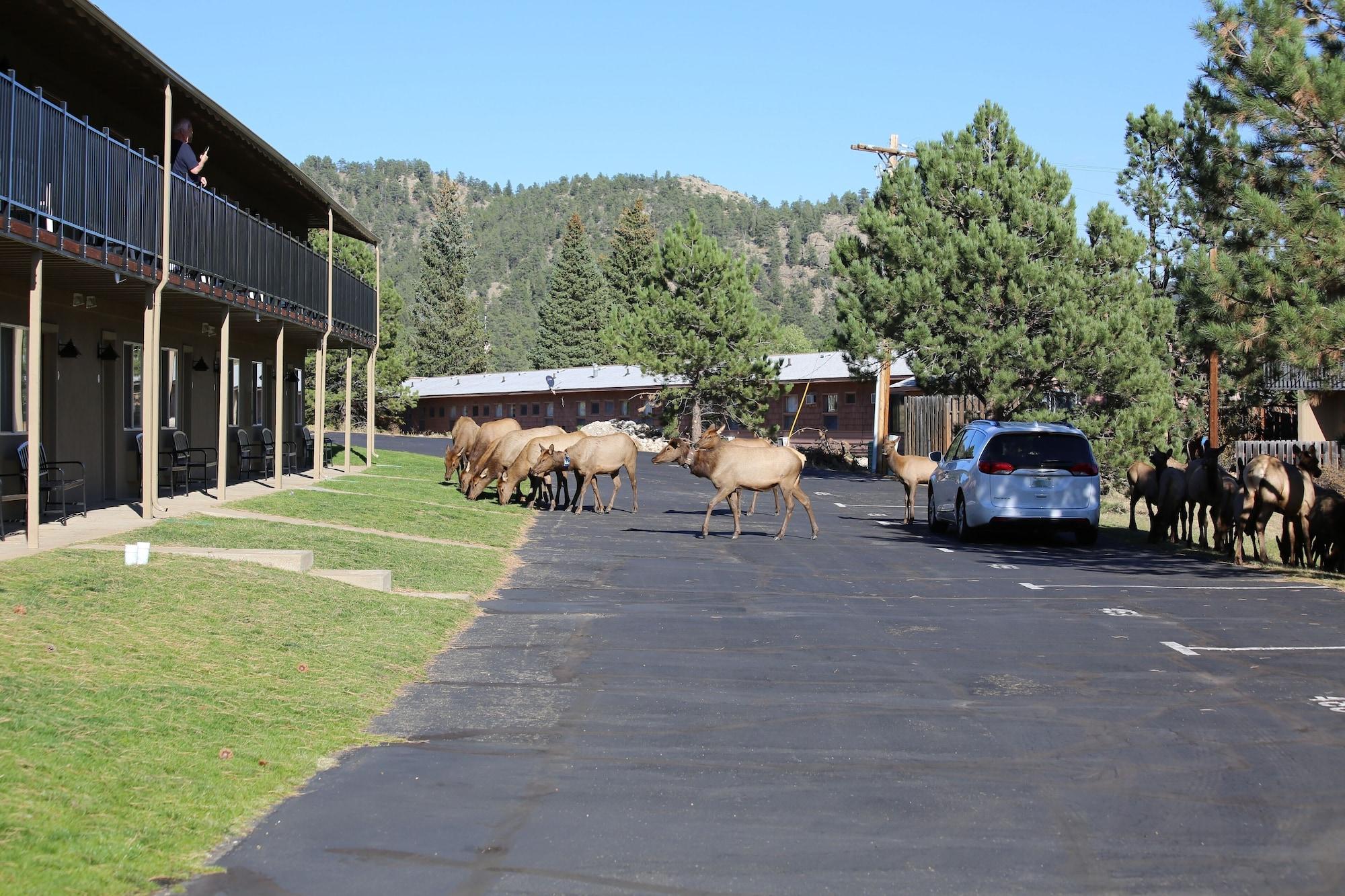 Quality Inn Near Rocky Mountain National Park Estes Park Buitenkant foto