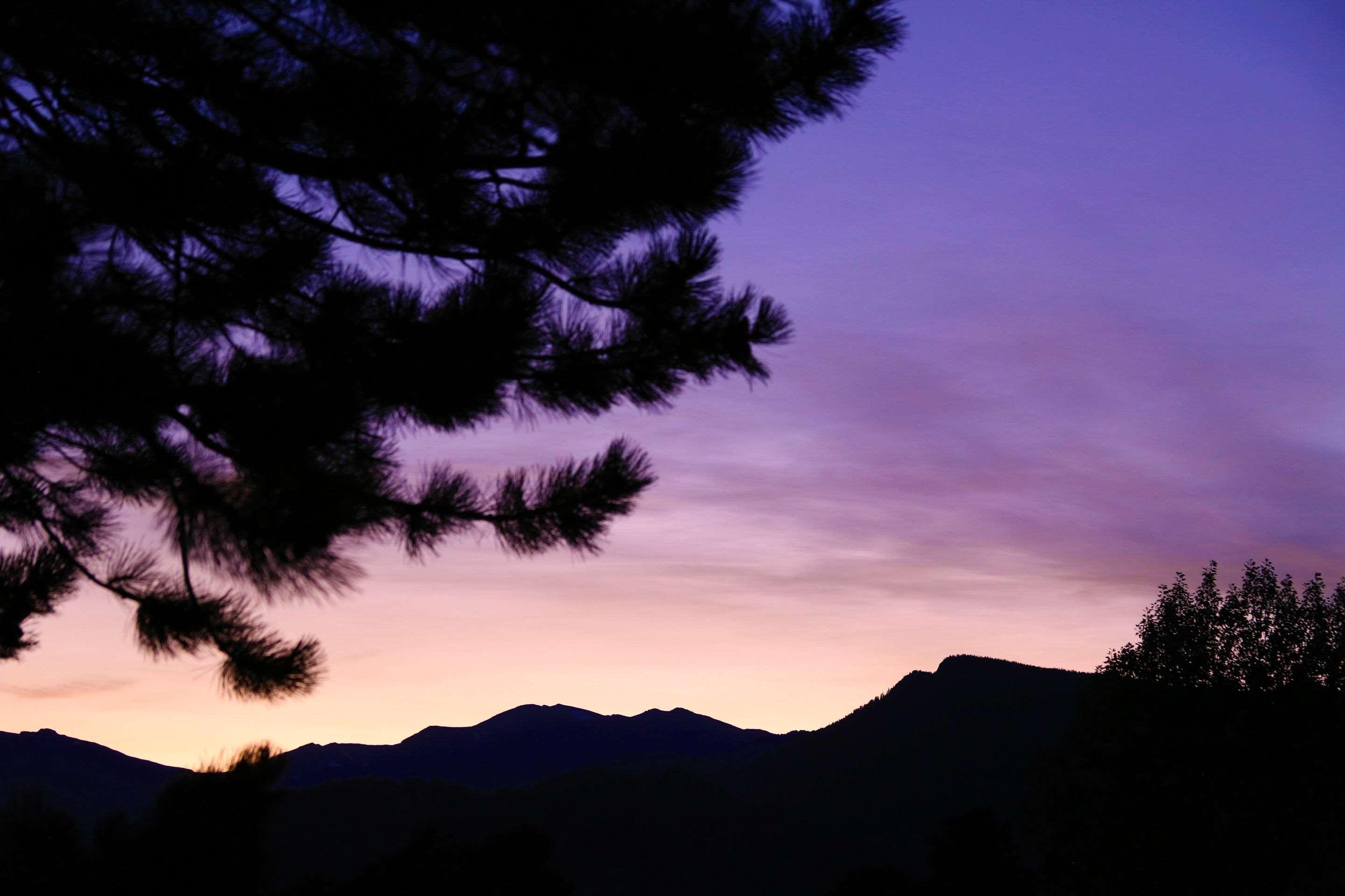 Quality Inn Near Rocky Mountain National Park Estes Park Buitenkant foto